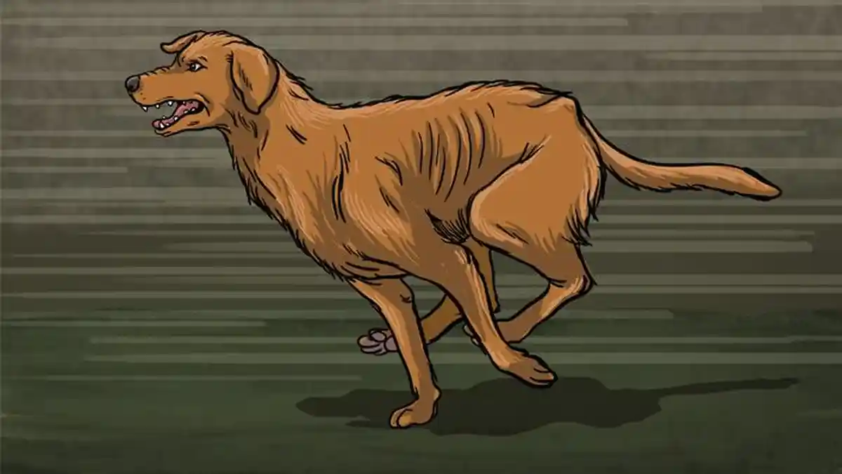 Ilustrasi anjing positif rabies untuk artikel Anjing positif rabies: Anjing Serang di Tegalbadeng Timur…