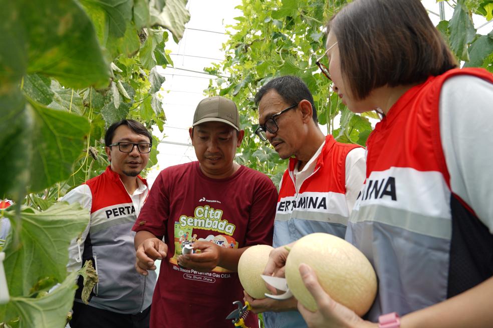 Ilustrasi panen melon sidoarjo untuk artikel Panen Melon Sidoarjo 1,7 Ton, Omset Potensial Rp51 Juta
