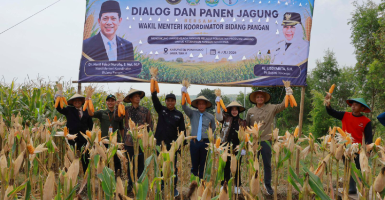 Ilustrasi produktivitas jagung untuk artikel Bayer dan Kemenko Pangan Genjot Produktivitas Jagung di Ponorogo
