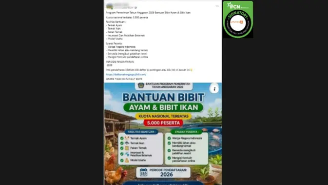 Ilustrasi bantuan bibit ayam untuk artikel Hoaks Link Pendaftaran Bantuan Bibit Ayam dan Ikan Terbantah