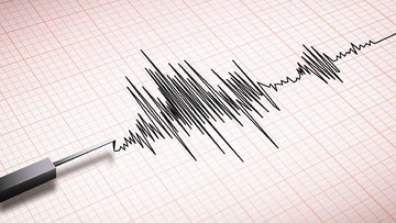 Ilustrasi gempa susulan ntt untuk artikel Gempa susulan ntt: BNPB Catat 5.012 Gempa Susulan di NTT