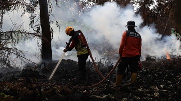 Ilustrasi perusahaan bantu karhutla untuk artikel Bupati Ketapang Minta Perusahaan Bantu Karhutla Luar Operasi